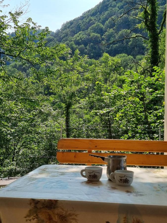 Glamping House ˇvitaˇ Hotel Tolmin Kültér fotó
